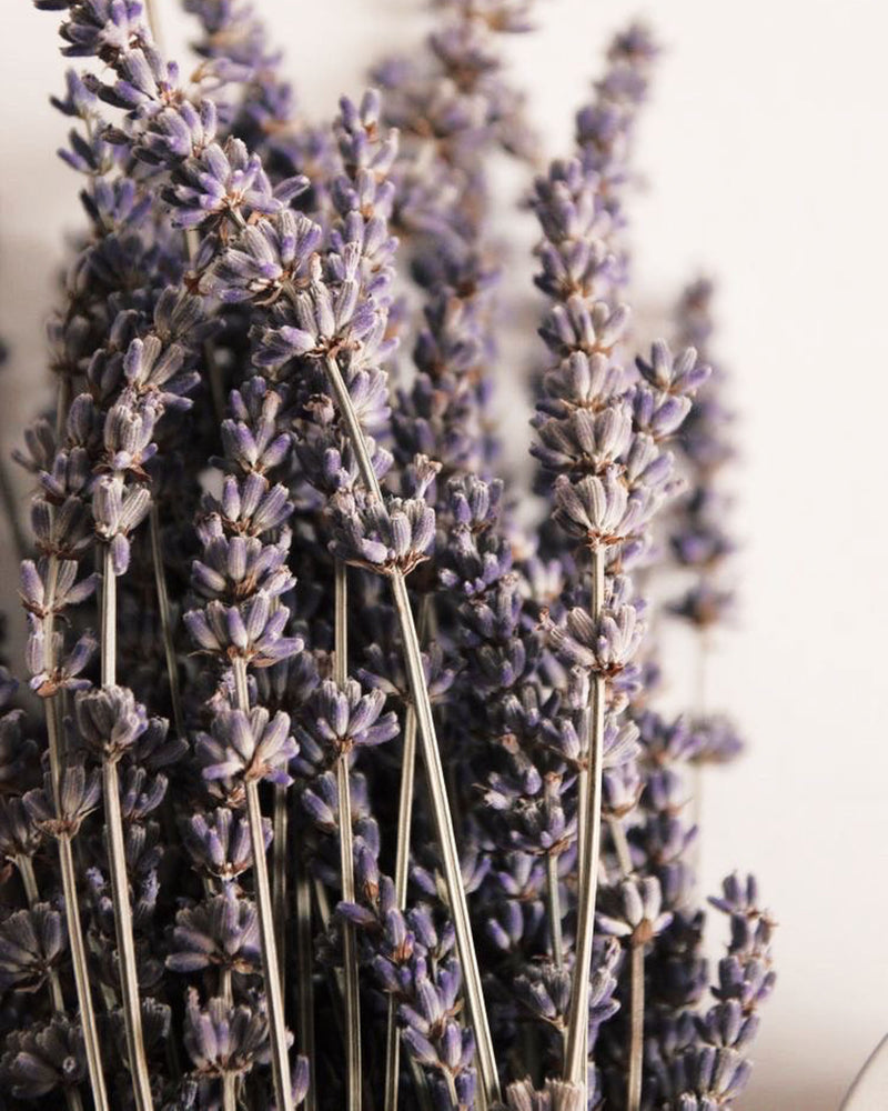 Lavanda | Vela Aromática