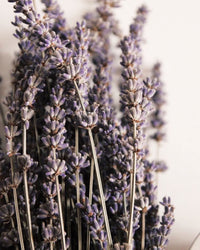 Lavanda | Home Spray